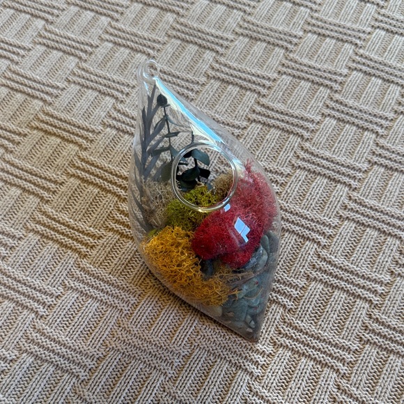 Other - Glass Teardrop Hanging Terrarium with Red, Yellow, and Green Moss